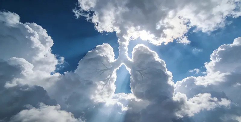 惠州肺癌靶向39基因检测及PDL122C3表达检测套餐（组织）图片1