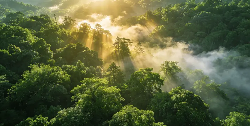 惠州肺癌靶向120基因检测及PDL122C3表达检测套餐（组织）图片1
